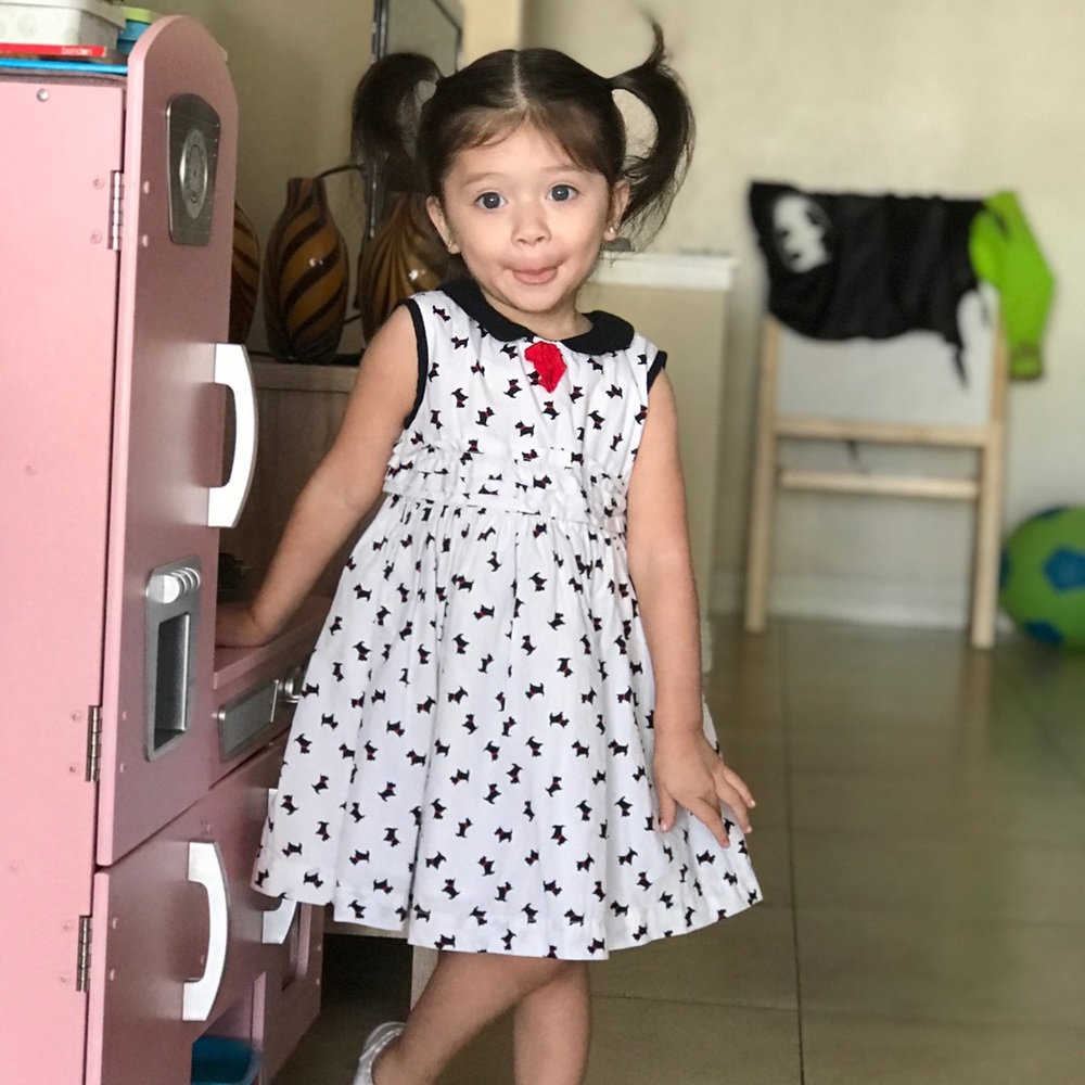 Baby Gap Dog Printed Pleat Dress 2T